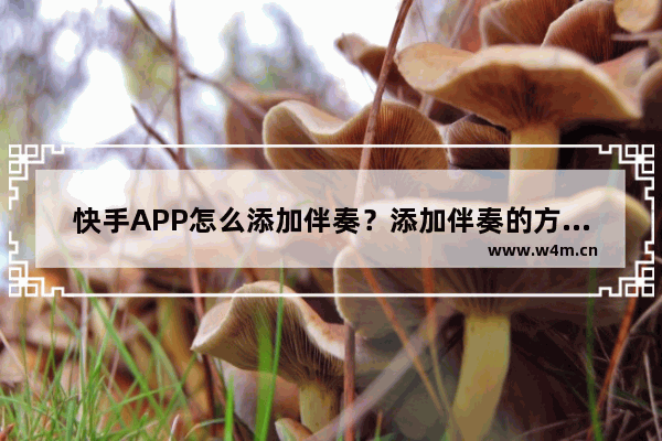 快手APP怎么添加伴奏？添加伴奏的方法讲解