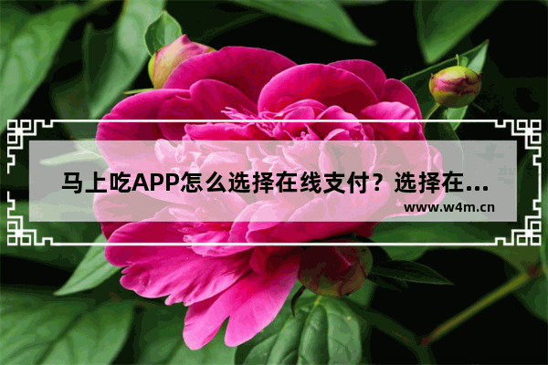 马上吃APP怎么选择在线支付？选择在线支付的方法讲解