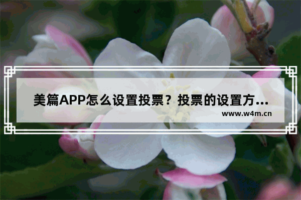 美篇APP怎么设置投票？投票的设置方法说明