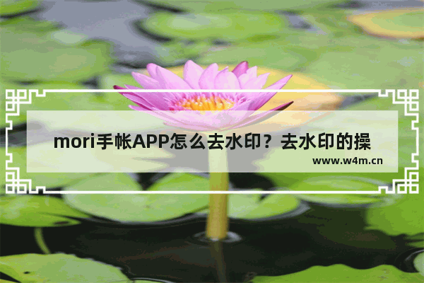 mori手帐APP怎么去水印？去水印的操作步骤分享