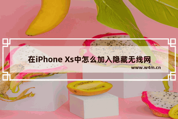 在iPhone Xs中怎么加入隐藏无线网络？加入隐藏无线网络的步骤分享