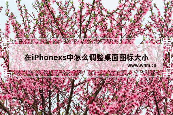 在iPhonexs中怎么调整桌面图标大小？调整桌面图标大小的详细方法分享