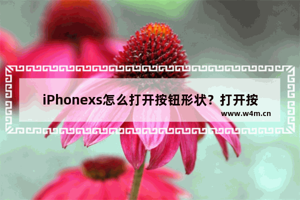 iPhonexs怎么打开按钮形状？打开按钮形状的详细步骤分享