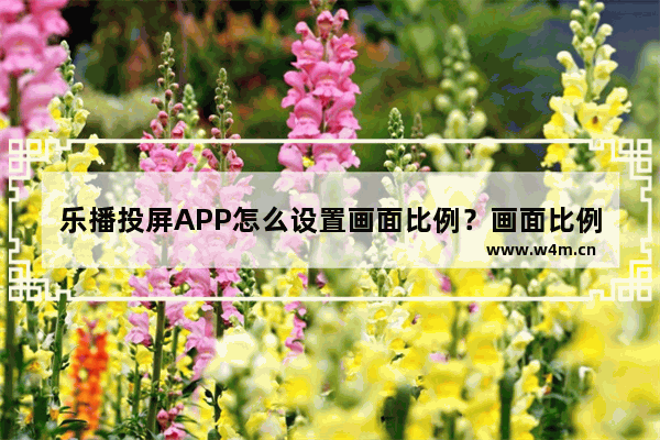 乐播投屏APP怎么设置画面比例？画面比例设置流程一览