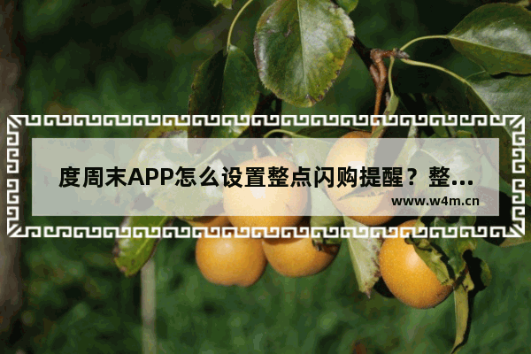 度周末APP怎么设置整点闪购提醒？整点闪购提醒设置方法讲解