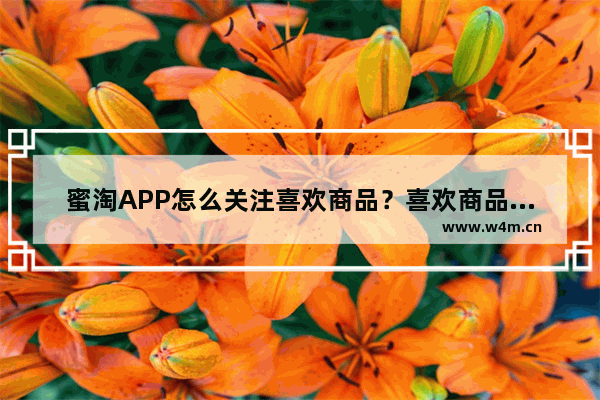 蜜淘APP怎么关注喜欢商品？喜欢商品关注方法讲解