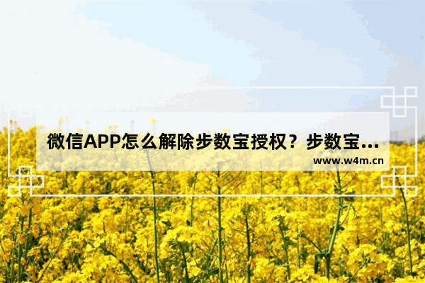 微信APP怎么解除步数宝授权？步数宝授权解除方法分享