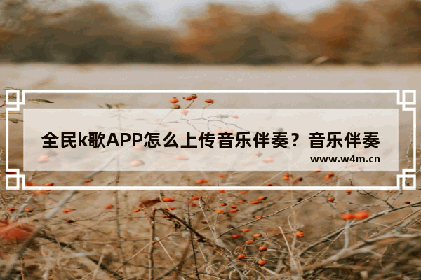 全民k歌APP怎么上传音乐伴奏？音乐伴奏上传步骤一览