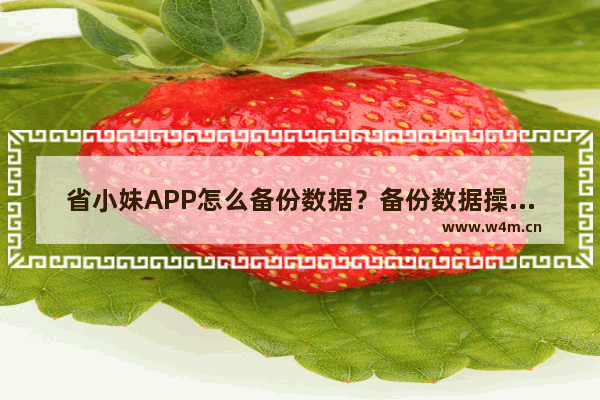 省小妹APP怎么备份数据？备份数据操作方法说明