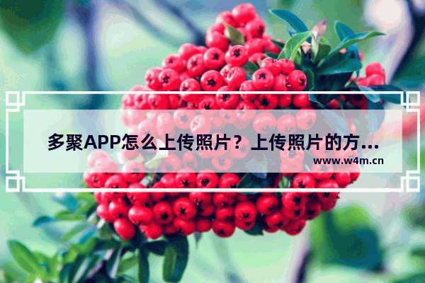 多聚APP怎么上传照片？上传照片的方法说明