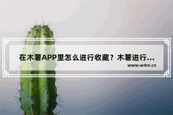 在木薯APP里怎么进行收藏？木薯进行收藏的方法说明