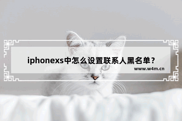 iphonexs中怎么设置联系人黑名单？设置联系人黑名单的方法说明