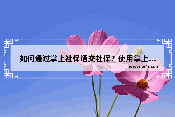 如何通过掌上社保通交社保？使用掌上社保通交社保方法介绍