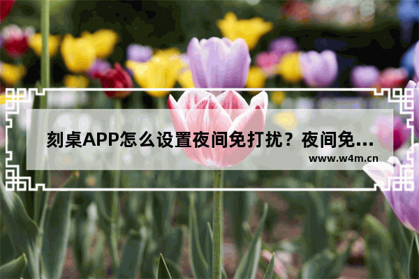 刻桌APP怎么设置夜间免打扰？夜间免打扰模式设置方法一览