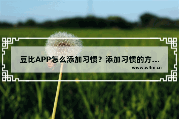 豆比APP怎么添加习惯？添加习惯的方法说明