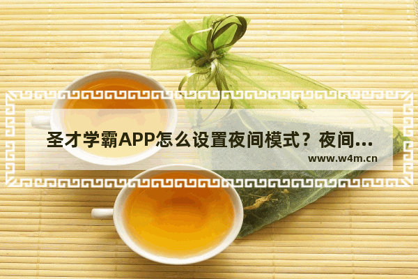 圣才学霸APP怎么设置夜间模式？夜间模式设置方法讲解