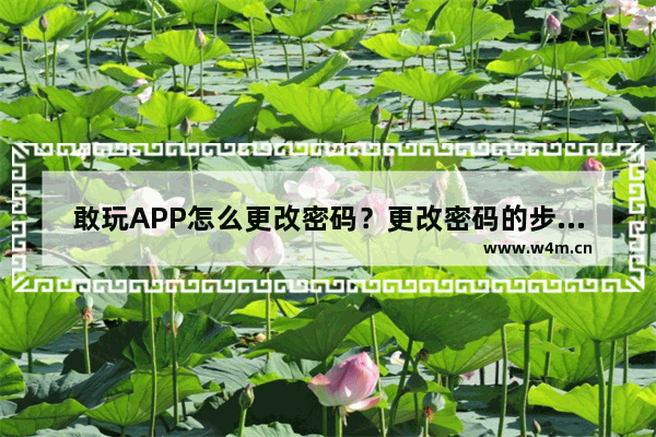 敢玩APP怎么更改密码？更改密码的步骤讲解