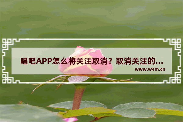 唱吧APP怎么将关注取消？取消关注的方法介绍