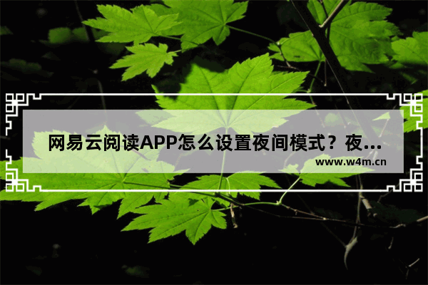 网易云阅读APP怎么设置夜间模式？夜间模式设置方法说明