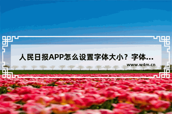 人民日报APP怎么设置字体大小？字体大小设置步骤一览