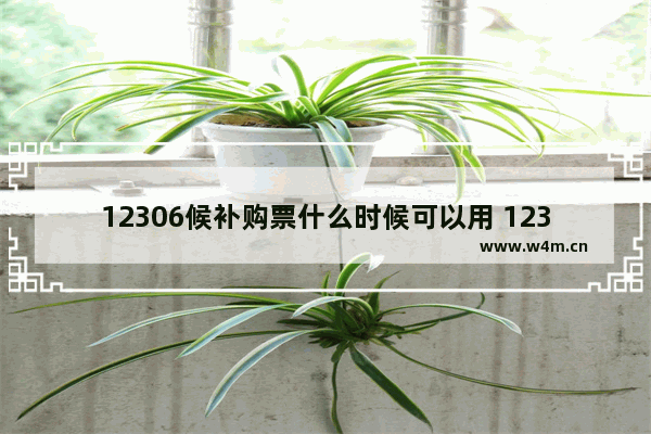 12306候补购票什么时候可以用 12306候补购票使用方式一览