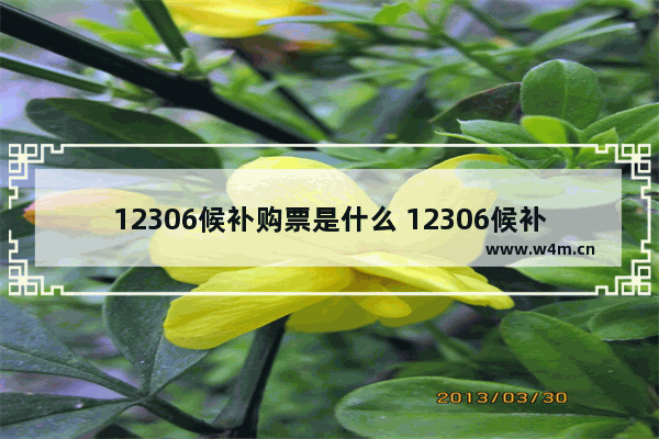 12306候补购票是什么 12306候补购票介绍