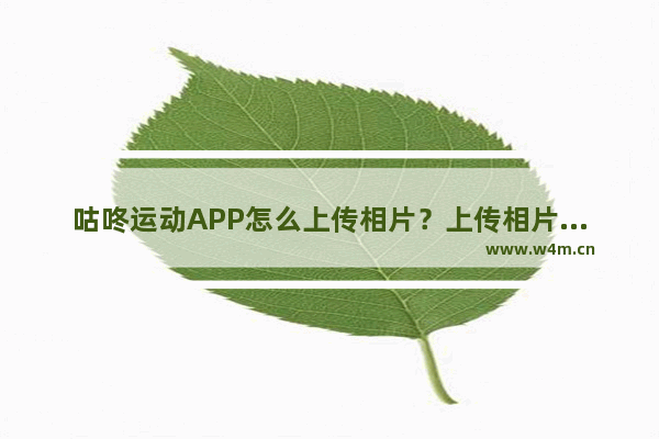 咕咚运动APP怎么上传相片？上传相片的步骤分享