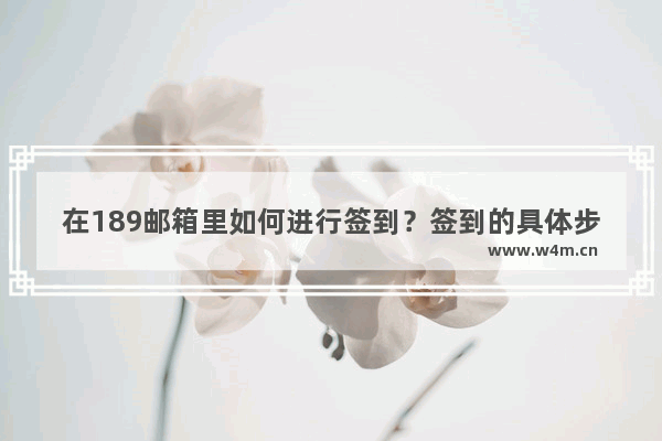 在189邮箱里如何进行签到？签到的具体步骤一览