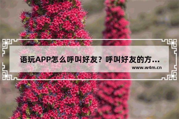 语玩APP怎么呼叫好友？呼叫好友的方法讲解