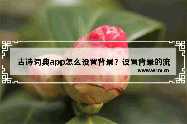 古诗词典app怎么设置背景？设置背景的流程一览