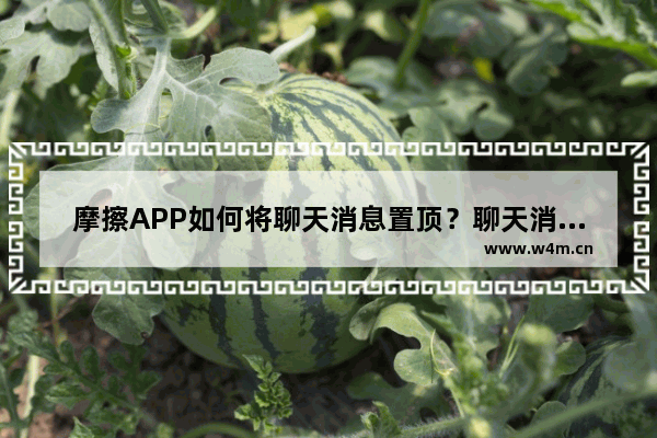 摩擦APP如何将聊天消息置顶？聊天消息置顶的步骤一览