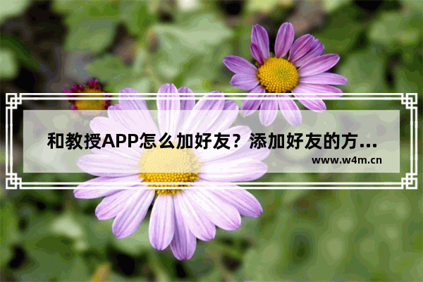 和教授APP怎么加好友？添加好友的方法介绍