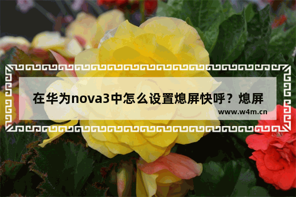 在华为nova3中怎么设置熄屏快呼？熄屏快呼设置方法分享