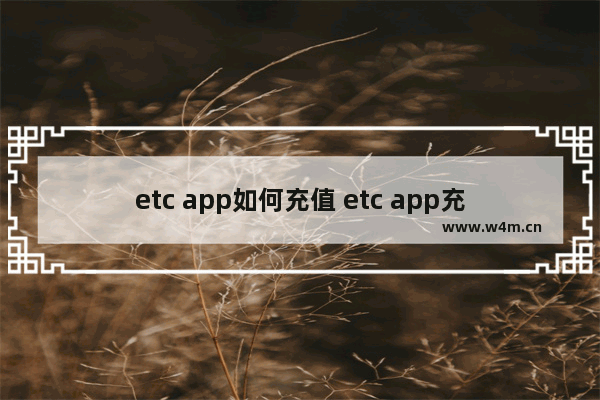 etc app如何充值 etc app充值方法一览