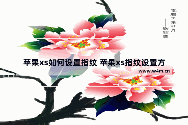 苹果xs如何设置指纹 苹果xs指纹设置方法详解