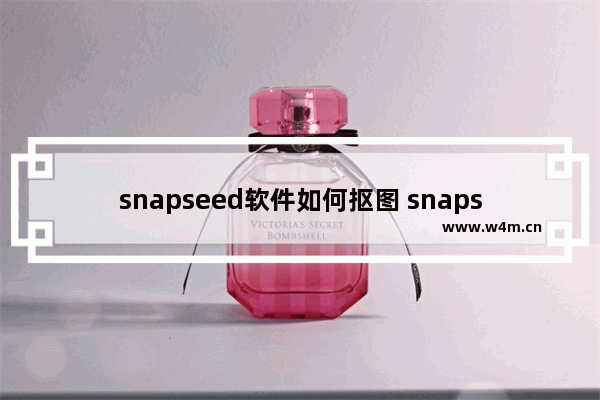 snapseed软件如何抠图 snapseed抠图步骤一览