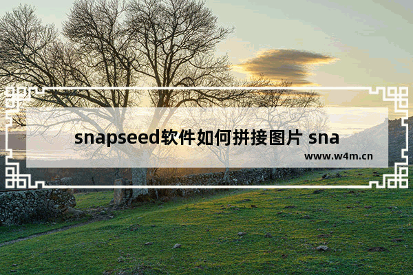 snapseed软件如何拼接图片 snapseed拼接图片步骤解析