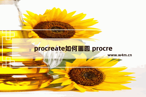 procreate如何画圆 procreate画圆流程详解