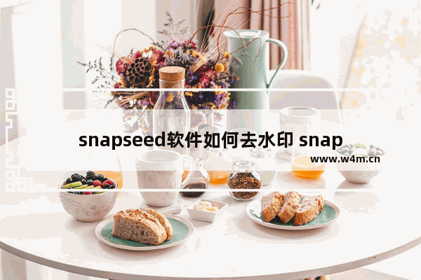 snapseed软件如何去水印 snapseed除水印步骤一览