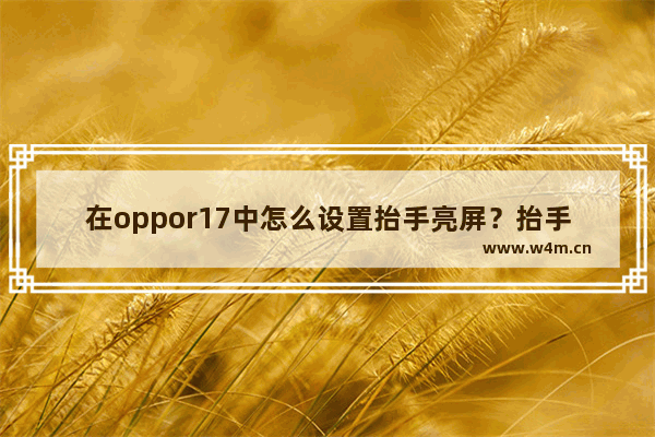 在oppor17中怎么设置抬手亮屏？抬手亮屏设置方法分享