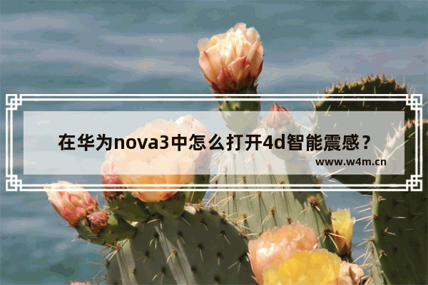 在华为nova3中怎么打开4d智能震感？打开4d智能震感的具体步骤分享