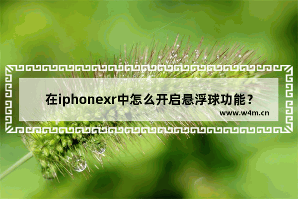 在iphonexr中怎么开启悬浮球功能？开启悬浮球功能的方法说明