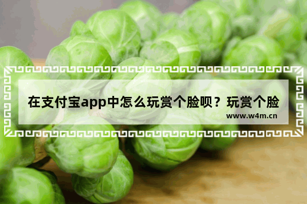 在支付宝app中怎么玩赏个脸呗？玩赏个脸呗的方法讲解