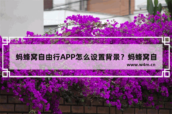 蚂蜂窝自由行APP怎么设置背景？蚂蜂窝自由行背景设置方法一览