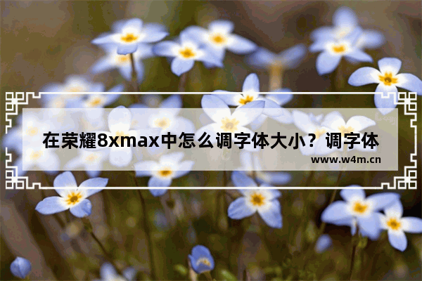 在荣耀8xmax中怎么调字体大小？调字体大小的具体方法分享