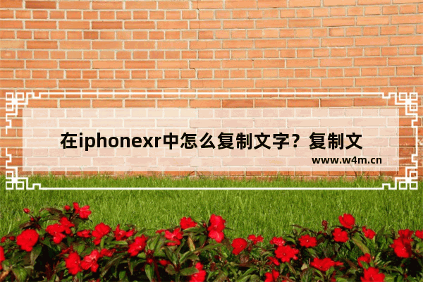 在iphonexr中怎么复制文字？复制文字的方法分享