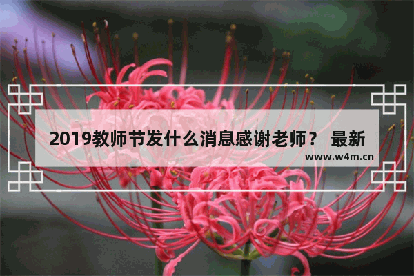 2019教师节发什么消息感谢老师？ 最新教师节祝福语录分享