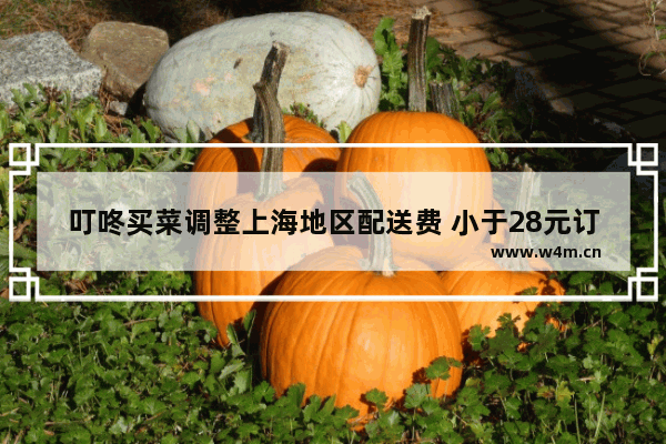 叮咚买菜调整上海地区配送费 小于28元订单收取5元配送费