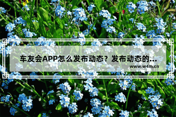 车友会APP怎么发布动态？发布动态的方法说明