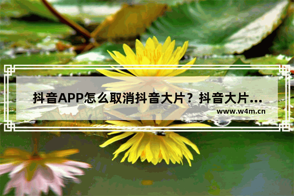 抖音APP怎么取消抖音大片？抖音大片取消方法说明